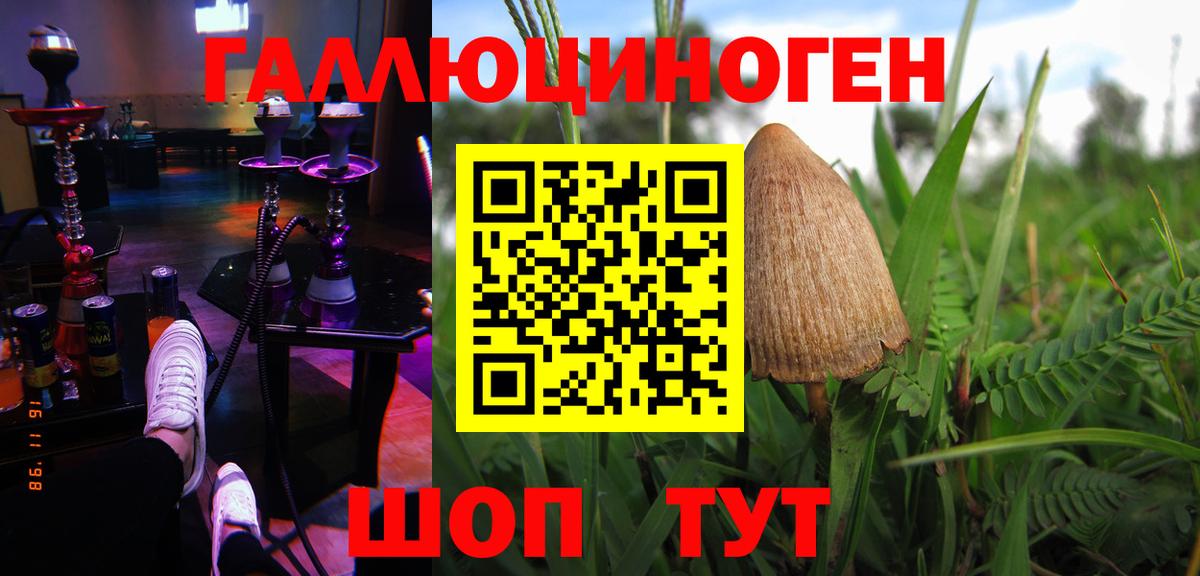 Псилоцибиновые грибы мухоморы  Вход с VPN  Тамбов  Галлюциногенные грибы мухоморы 